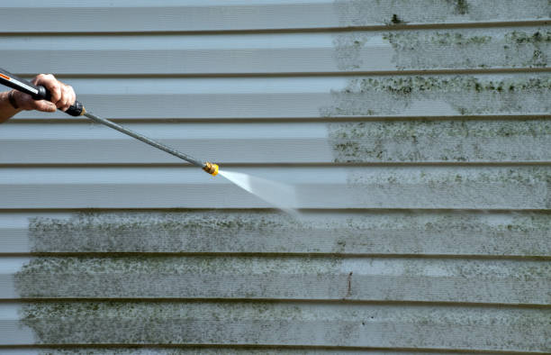 Mold Testing and Removal in Floral City, FL